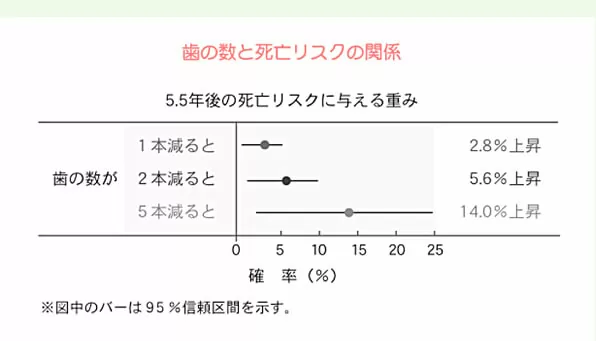 歯の数と寿命の関係
